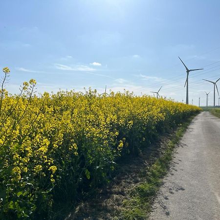 Kaisers Ferienhaus Kaifenheim Екстериор снимка